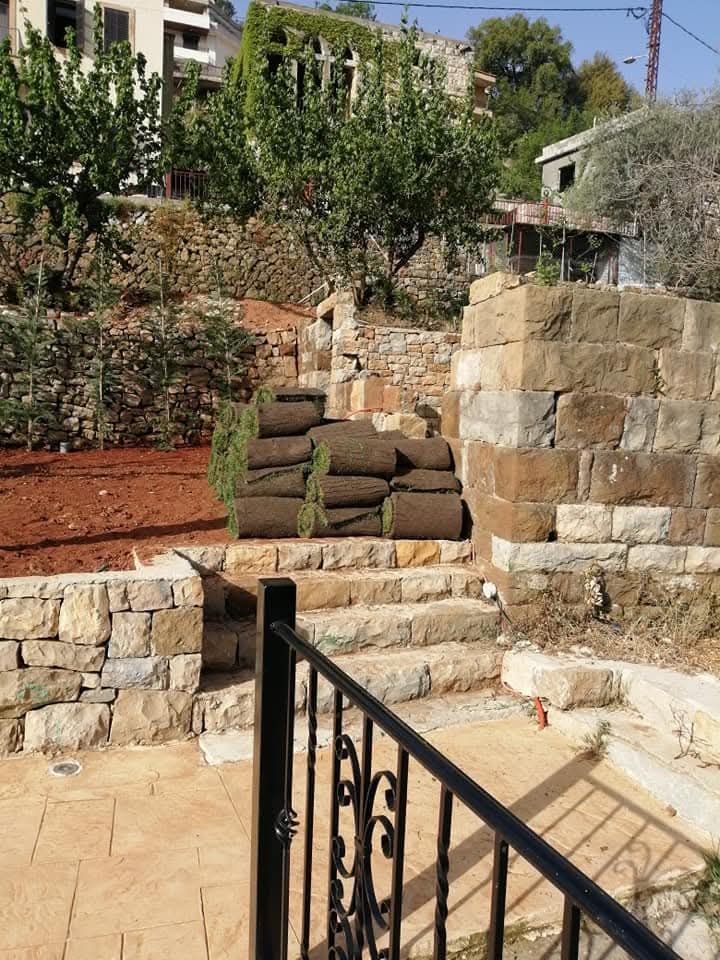 Before: stone steps and lawn