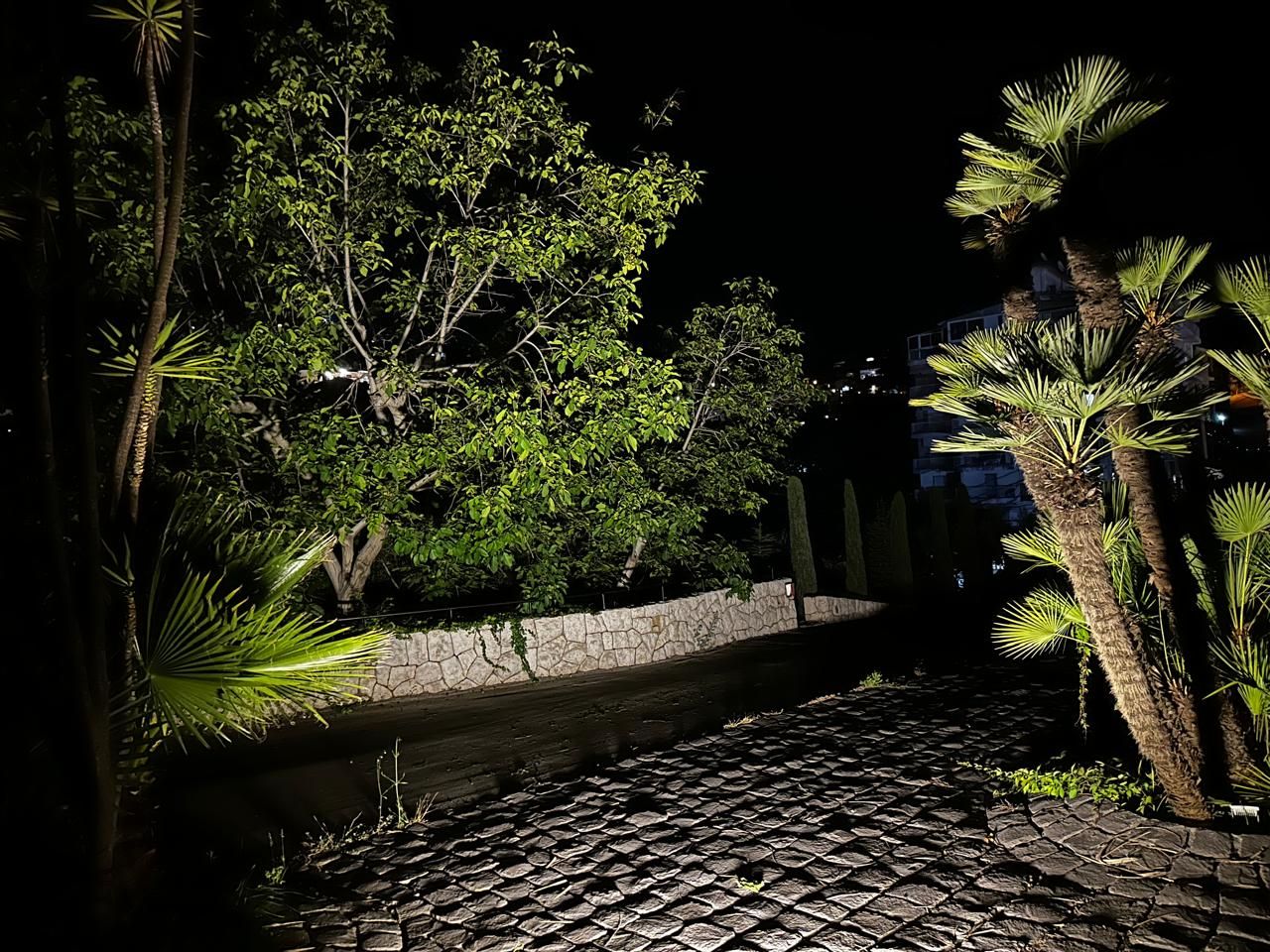 Lit tree and stone wall along the drive