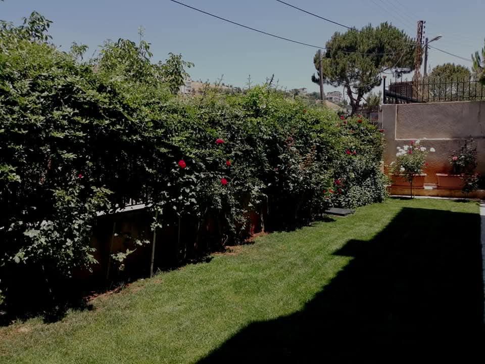 Flowering hedge with roses beside a green lawn